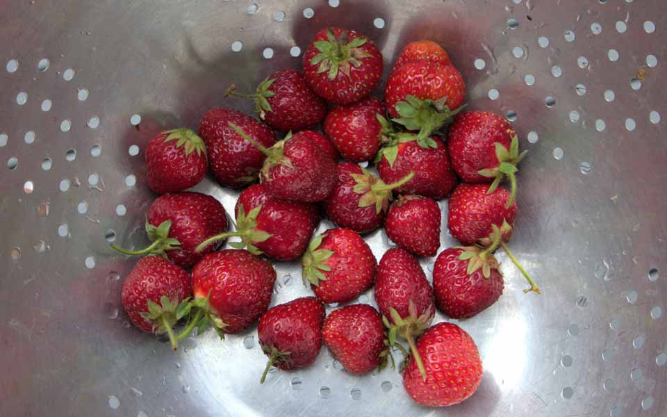 Strawberries